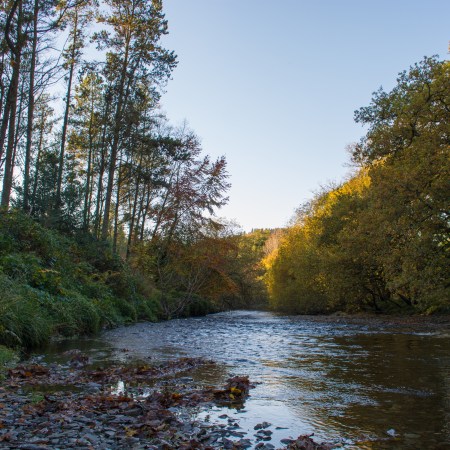 River_Ystwyth