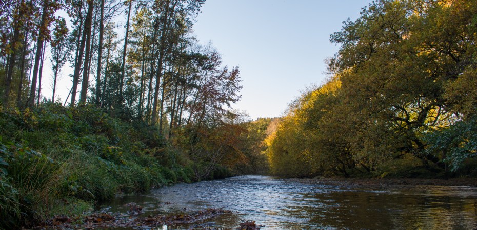 River_Ystwyth
