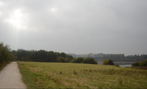 tittesworth_reservoir_dogoddity