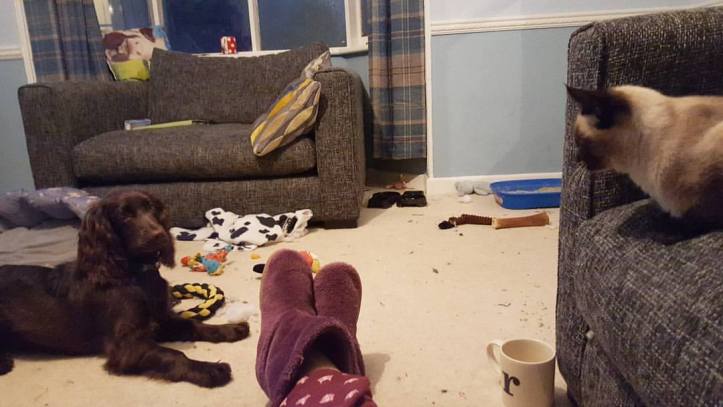 22829272_10159554867710578_2222886405148733800_o