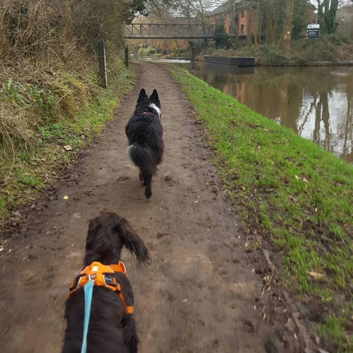 26219911_10159889441770578_8568279499262260948_n