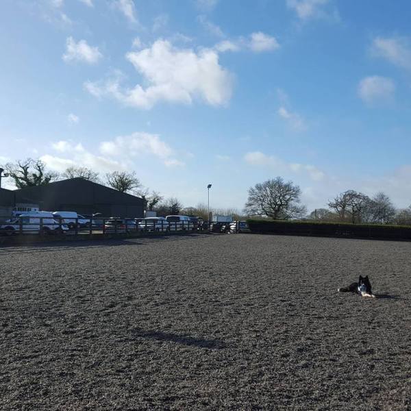 12715641_10156537820940578_9048987897237519699_n