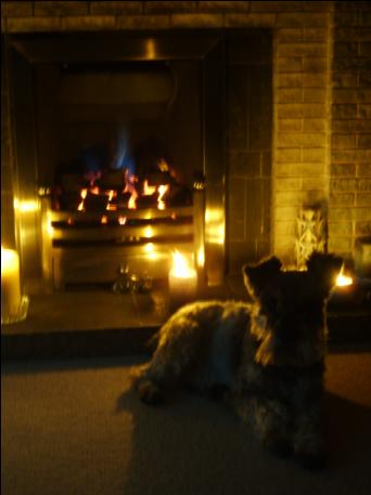 l_588982fb3fcbdcb7e7b0fc9d581d8b72