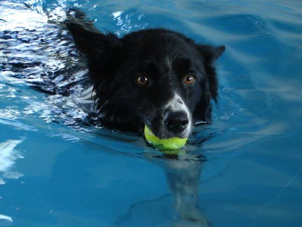 998223_577273412315417_878333019_n