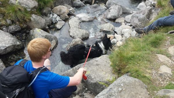 10544396_10154386306140578_6007567155723714893_n (1)