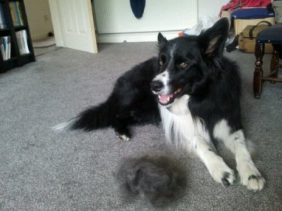 2013-06-01 15.58.32.jpg image