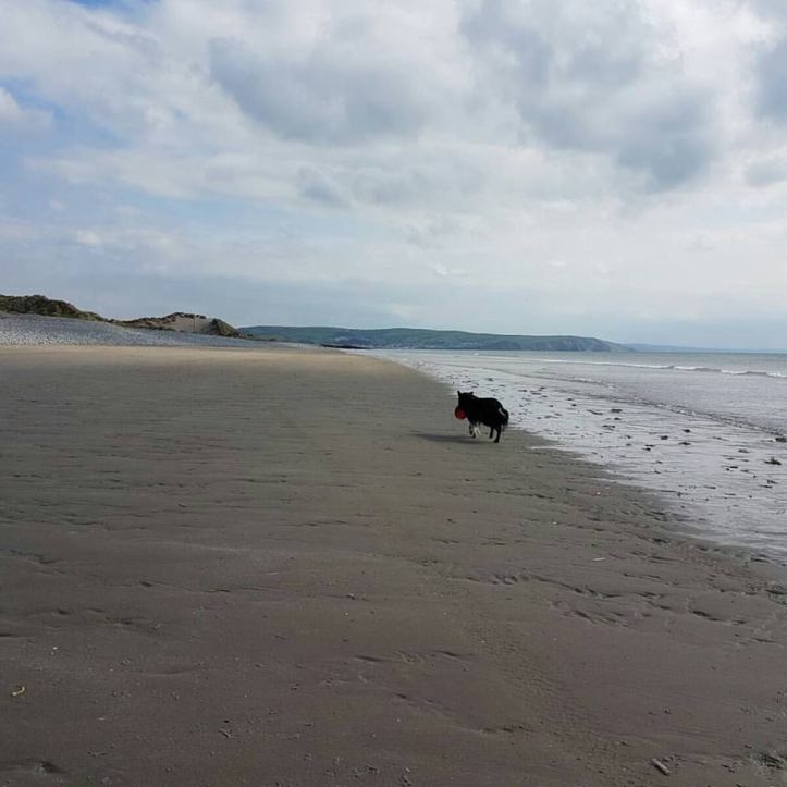 18268498_10158666096490578_3495946214353160030_n