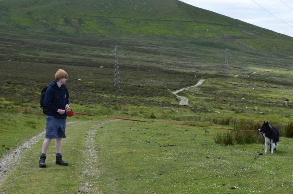 1011173_10152955811065578_1987453258_n