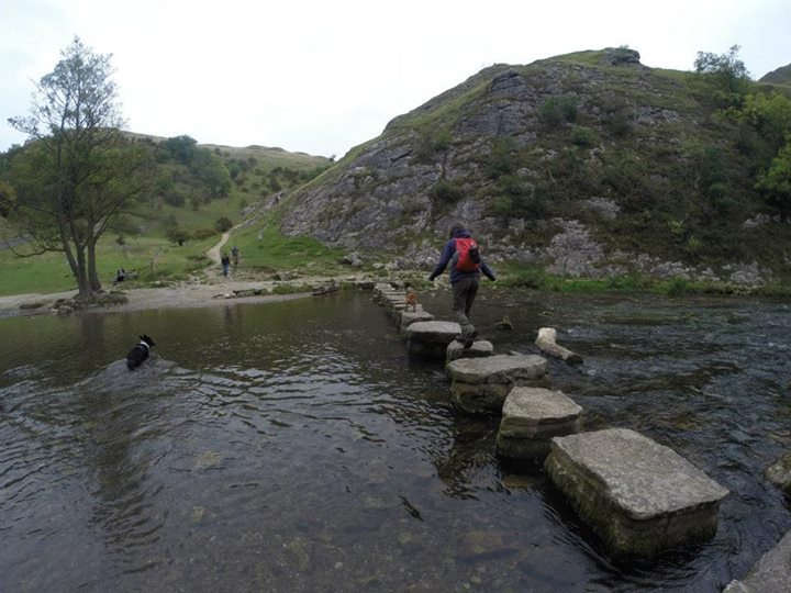 10649997_10154668454125578_7303225530502806994_n