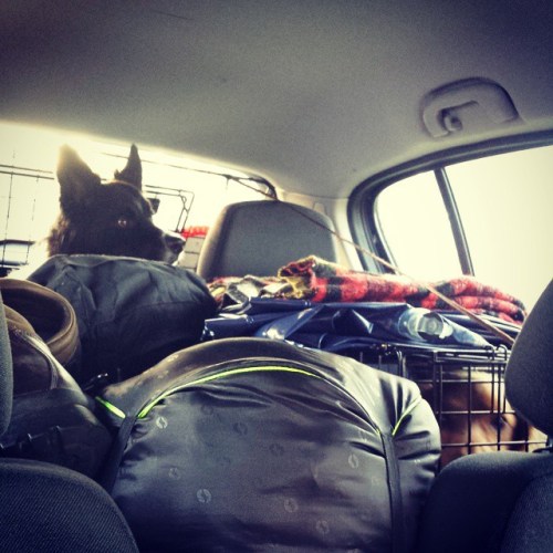 10703964_10154661189250578_1694499980397732449_n