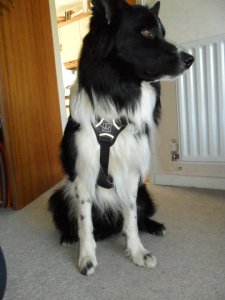 248615_10150629978365578_6524592_n