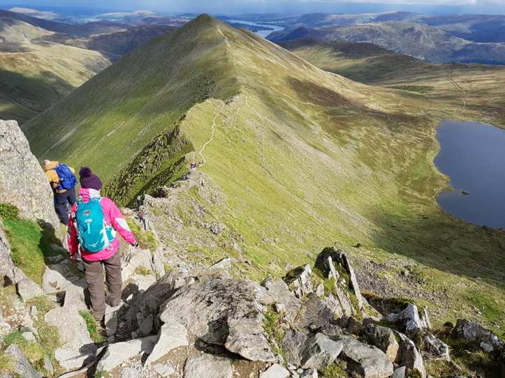 21557772_10155292514048800_2165232928546763759_n