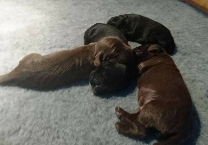 18425169_10158704166845578_1637764957351430436_n