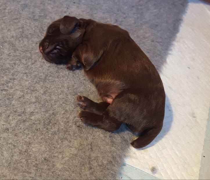 18447207_10158704166985578_3874846526741519117_n