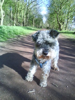 My favourite photograph of Fritz enjoying the satline